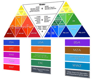 Article-1X3-Opleidingen