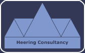 Heering-Consultancy-logo